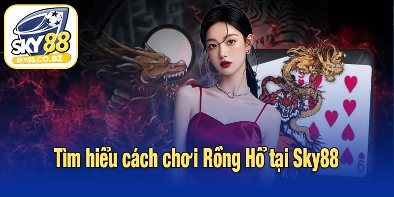 Tìm hiểu cách chơi Rồng Hổ tại Sky88