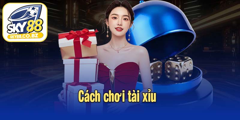 Cách chơi tài xỉu