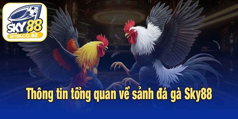 Thông tin tổng quan về sảnh đá gà Sky88